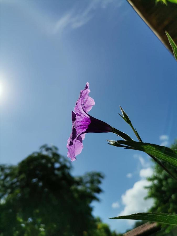 Hotel Apartamentos Herradura #7,#9 Puntarenas Exterior foto